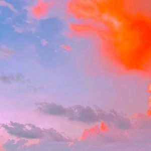 Meet your Posher, Summer